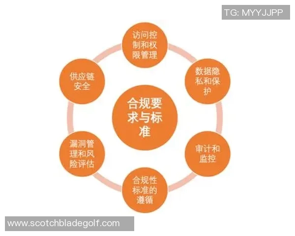 轻量级与重量级的全面对比探讨适合不同需求的选择与应用